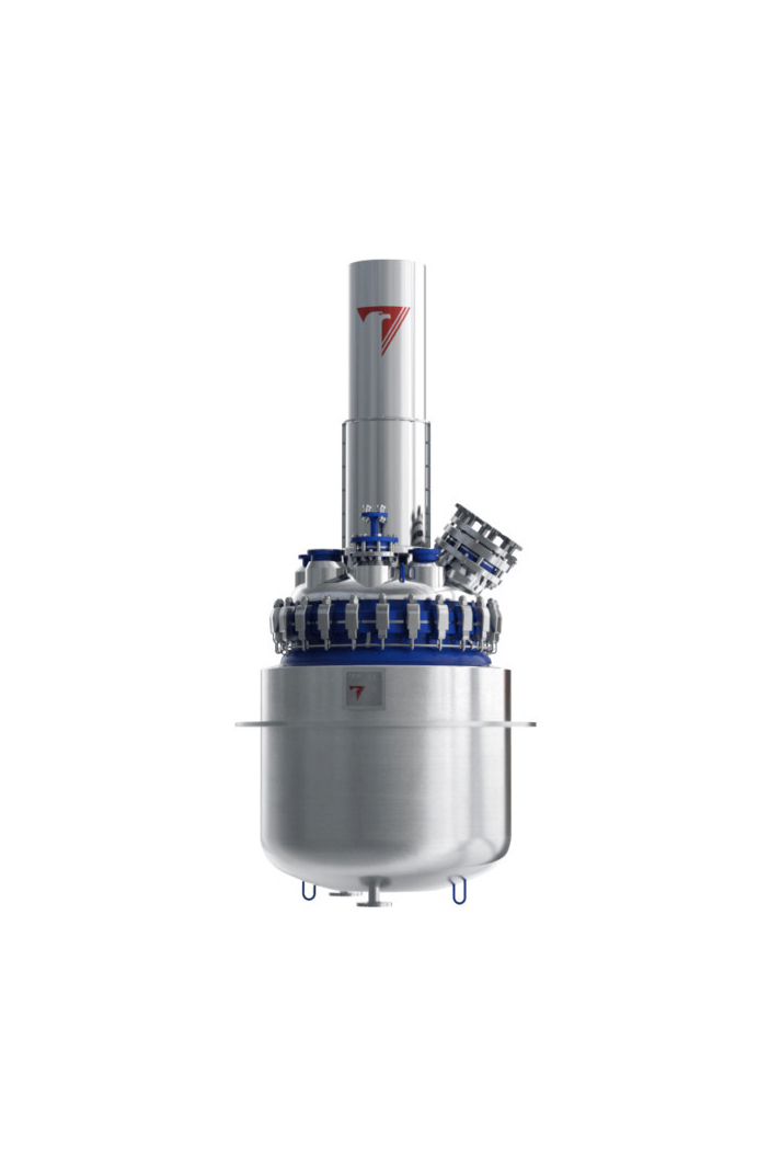 Glass lined reactor – BT type